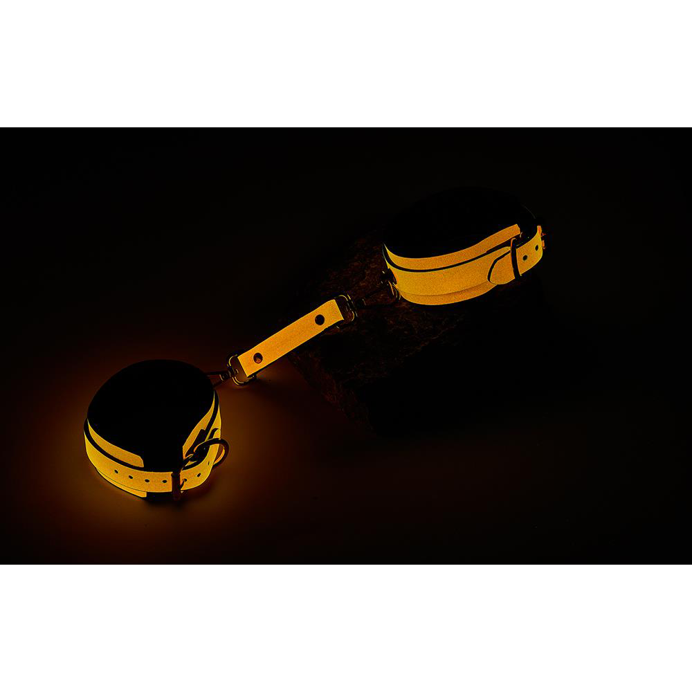 Dream Toys - Radiant Glow in the Dark Kit